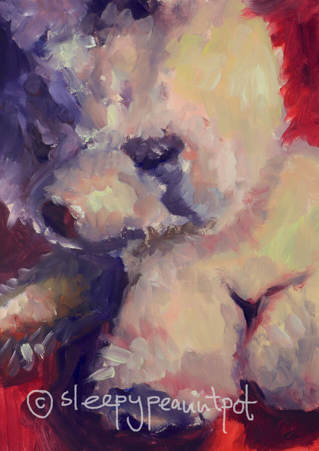bear - A6